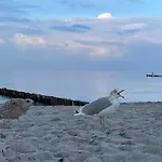 Appartementhaus 6 - Urlaub Zwischen & Bodden Zingst