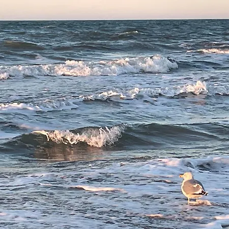 Appartementhaus 6 - Urlaub Zwischen & Bodden Zingst