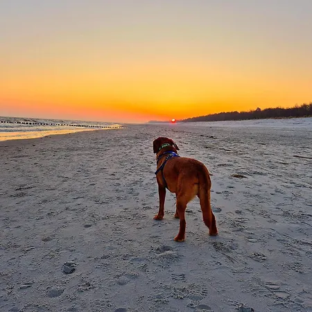 Appartementhaus 6 - Urlaub Zwischen & Bodden