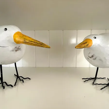 Apartmán Appartementhaus 6 - Urlaub Zwischen & Bodden *