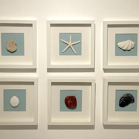 Appartementhaus 6 - Urlaub Zwischen & Bodden Apartmán Zingst